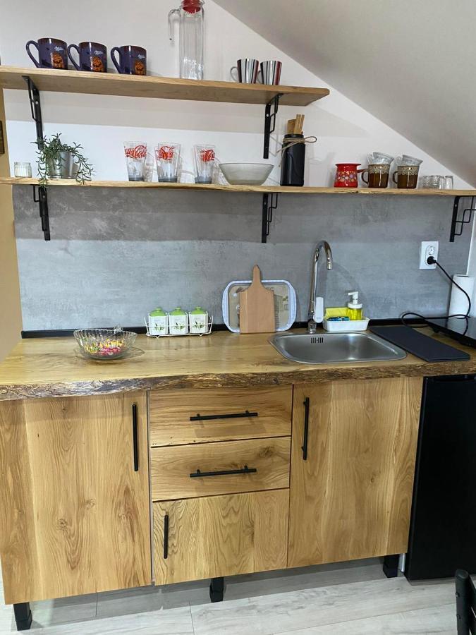 Apartmán Rtanjska Kucica Boljevac Exteriér fotografie